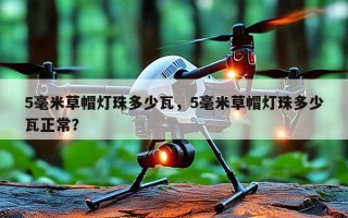 5毫米草帽灯珠多少瓦，5毫米草帽灯珠多少瓦正常？