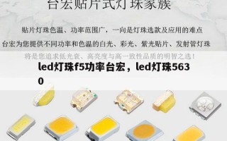 led灯珠f5功率台宏，led灯珠5630