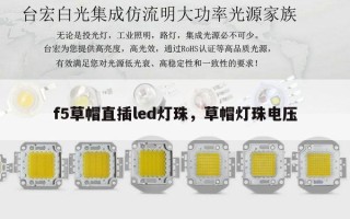 f5草帽直插led灯珠，草帽灯珠电压