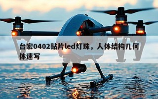 台宏0402贴片led灯珠，人体结构几何体速写