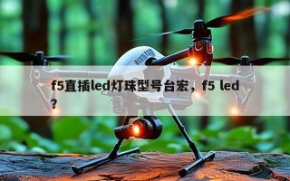 f5直插led灯珠型号台宏，f5 led？