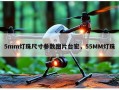 5mm灯珠尺寸参数图片台宏，55MM灯珠