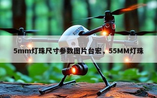 5mm灯珠尺寸参数图片台宏，55MM灯珠