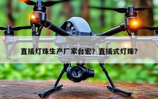 直插灯珠生产厂家台宏？直插式灯珠？