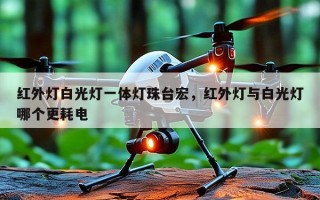 红外灯白光灯一体灯珠台宏，红外灯与白光灯哪个更耗电