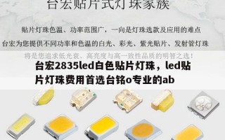 台宏2835led白色贴片灯珠，led贴片灯珠费用首选台铭o专业的ab