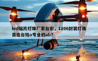 led贴片灯珠厂家台宏，1206封装灯珠首选台铭o专业的ab？