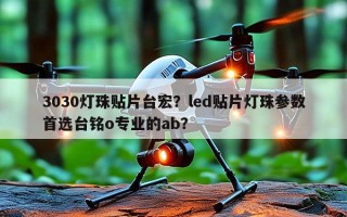 3030灯珠贴片台宏？led贴片灯珠参数首选台铭o专业的ab？
