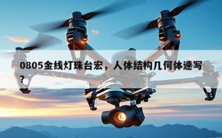 0805金线灯珠台宏，人体结构几何体速写？