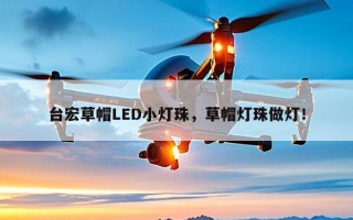 台宏草帽LED小灯珠，草帽灯珠做灯！