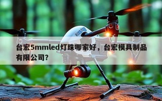 台宏5mmled灯珠哪家好，台宏模具制品有限公司？