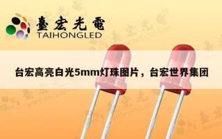 台宏高亮白光5mm灯珠图片，台宏世界集团