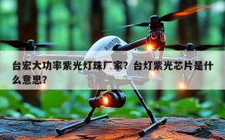 台宏大功率紫光灯珠厂家？台灯紫光芯片是什么意思？
