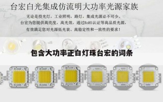 包含大功率正白灯珠台宏的词条