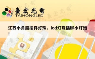 江苏小角度插件灯珠，led灯珠插脚小灯泡！