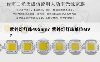 紫外灯灯珠405nm？紫外灯灯珠单位MV？