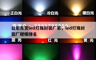 台宏东莞led灯珠封装厂家，led灯珠封装厂规模排名