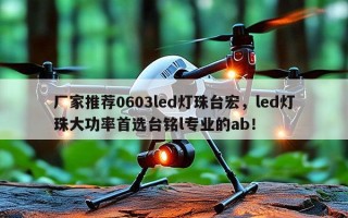厂家推荐0603led灯珠台宏，led灯珠大功率首选台铭l专业的ab！