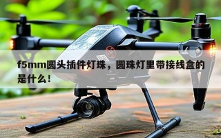 f5mm圆头插件灯珠，圆珠灯里带接线盒的是什么！