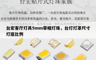 台宏客厅灯具5mm草帽灯珠，台灯灯罩尺寸灯座比例