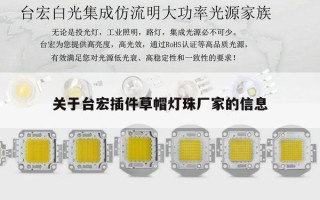 关于台宏插件草帽灯珠厂家的信息