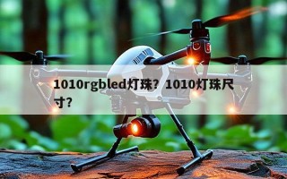 1010rgbled灯珠？1010灯珠尺寸？