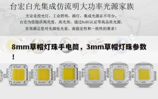 8mm草帽灯珠手电筒，3mm草帽灯珠参数！