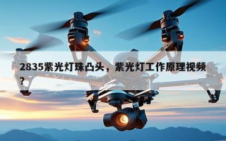 2835紫光灯珠凸头，紫光灯工作原理视频？