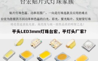 平头LED3mm灯珠台宏，平灯头厂家？
