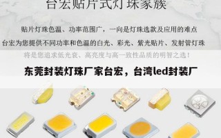 东莞封装灯珠厂家台宏，台湾led封装厂