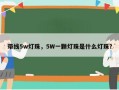 带线5w灯珠，5W一颗灯珠是什么灯珠？