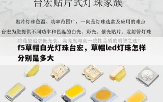 f5草帽白光灯珠台宏，草帽led灯珠怎样分别是多大