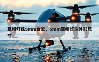 草帽灯珠5mm台宏，5mm草帽灯珠外形尺寸