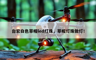 台宏白色草帽led灯珠，草帽灯珠做灯！