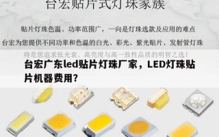 台宏广东led贴片灯珠厂家，LED灯珠贴片机器费用？