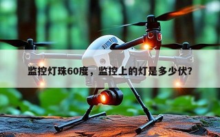 监控灯珠60度，监控上的灯是多少伏？