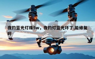 夜钓蓝光灯珠5w，夜钓灯蓝光坏了,能修复吗