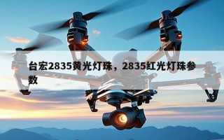 台宏2835黄光灯珠，2835红光灯珠参数