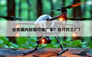台宏国内封装灯珠厂家？台灯代工厂？