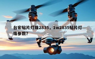 台宏贴片灯珠2835，1w2835贴片灯珠参数？