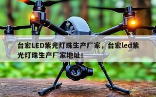 台宏LED紫光灯珠生产厂家，台宏led紫光灯珠生产厂家地址！