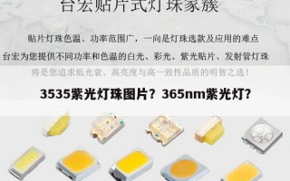 3535紫光灯珠图片？365nm紫光灯？
