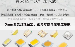 5mm紫光灯珠台宏，紫光灯珠电压电流参数