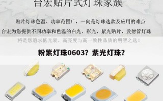 粉紫灯珠0603？紫光灯珠？