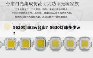 5630灯珠3w台宏？5630灯珠多少w？