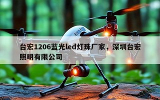 台宏1206蓝光led灯珠厂家，深圳台宏照明有限公司