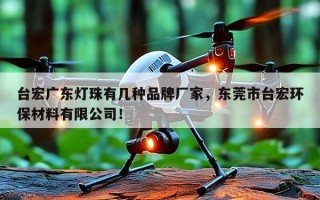 台宏广东灯珠有几种品牌厂家，东莞市台宏环保材料有限公司！