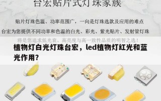 植物灯白光灯珠台宏，led植物灯红光和蓝光作用？