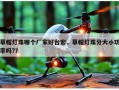 草帽灯珠哪个厂家好台宏，草帽灯珠分大小功率吗?？
