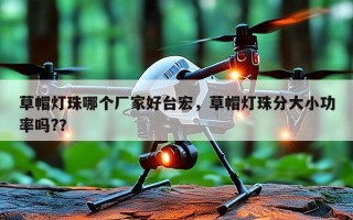 草帽灯珠哪个厂家好台宏，草帽灯珠分大小功率吗?？
